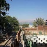 Dead Sea Rooms Neve Zohar — фото 1
