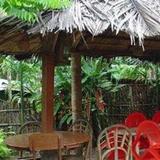 Palm Grove Eco Resort — фото 2