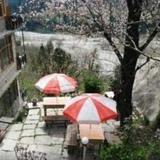 Vashisht Homestay & Cafe — фото 3