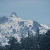 Гостиница The Conifer — фото 3