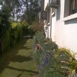 Duggal's — фото 1