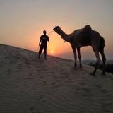 Desert Camel Safari — фото 3