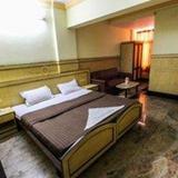 Hotel Sabharwal Viceroy — фото 3