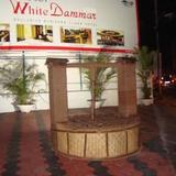 Гостиница White Dammar International — фото 1