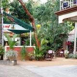 Ideal Ayurvedic Resort — фото 1