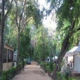 Aravali Tents Resorts — фото 3