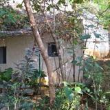 Tiru Arunachala Guest House — фото 3