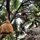 The Palm Trees Resort — фото 3