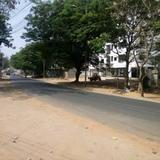 OYO Premium Botanical Garden Gachibowli — фото 3