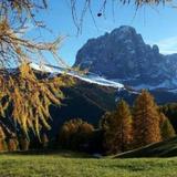 Chalet Alpina — фото 2