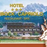 Гостиница Capriolo — фото 2