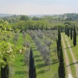 Agriturismo Antica Dimora Del Turco — фото 3