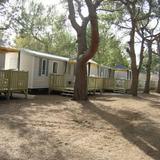 Happy Camp mobile homes in Camping Village La Masseria — фото 2