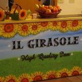 Гостиница Il Girasole High Quality Inn — фото 2
