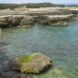 Villa Mediterranea tra gli ulivi — фото 1