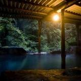 Гостиница Yokoya Onsen Ryokan — фото 2