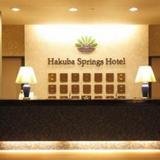 Гостиница Hakuba Springs — фото 2