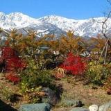 Гостиница Hakuba Royal — фото 1