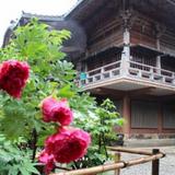 Shukubo Tatsue Ji Temple — фото 1
