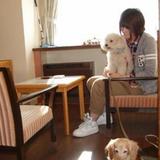 Гостиница Izumigo Toba Dog Paradise — фото 3