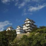 Hyogo Floral Inn Himeji — фото 3