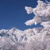 Гостиница Elk at Hakuba — фото 2