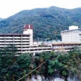 Гостиница Kinugawa Green Palace — фото 2