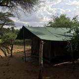 Samburu Riverside Camp — фото 3
