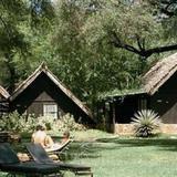 Samburu Serena Safari Lodge — фото 3