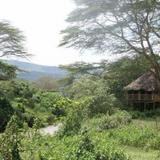 Гостиница Kigio Wildlife Camp — фото 1