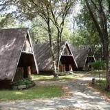Гостиница Mara Wildebeest Lodge — фото 1