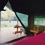 Гостиница Siana Springs Tented Camp — фото 2