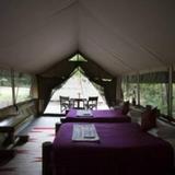 Гостиница Siana Springs Tented Camp — фото 3