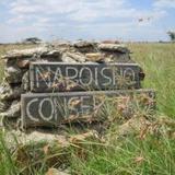 Гостиница Naboisho Camp - All Inclusive — фото 1