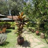 Hibiscus Guest House — фото 1
