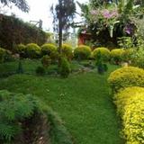 Homely Guest House — фото 1