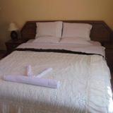 Homely Guest House — фото 2