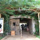 Manyatta Camp — фото 1