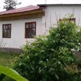 Guest house Krasnii Zvetok — фото 3