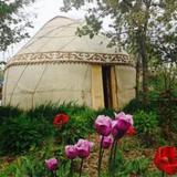 Karakol Yurt Lodge — фото 2