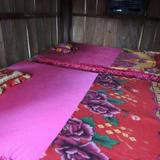 Damrei Chlorng Homestay — фото 1