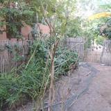 Ta Rous Homestay — фото 1