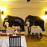 Terrasse des Elephants Hotel & Restaurant — фото 3