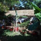 Les Rougets Guest House — фото 1