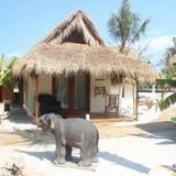 Elephant Garden Resort — фото 3