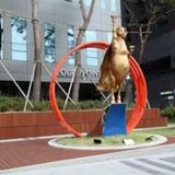 Гостиница Four Points by Sheraton Seoul Namsan — фото 2