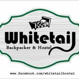 Whitetail Backpacker & Hostel — фото 2