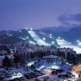 Yongpyong Resort Dragon Valley Hotel — фото 3
