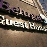Beluga Guest House - Hostel — фото 1