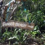 Jungle Beach Inn — фото 1